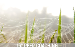 Peer coaching 2021 Fedro