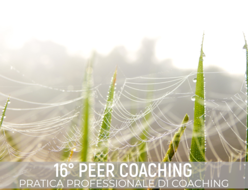 Peer Coaching: pratica professionale di Coaching nella Community FEDRO