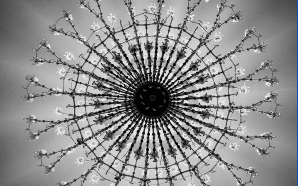 Radial symmetry of blossoming branches forming a circular wheel in a grayscale photograph